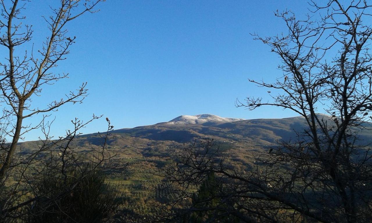 Dimora Toscana Lägenhet Seggiano Exteriör bild
