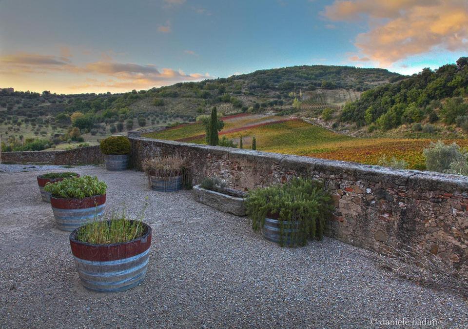 Dimora Toscana Lägenhet Seggiano Exteriör bild
